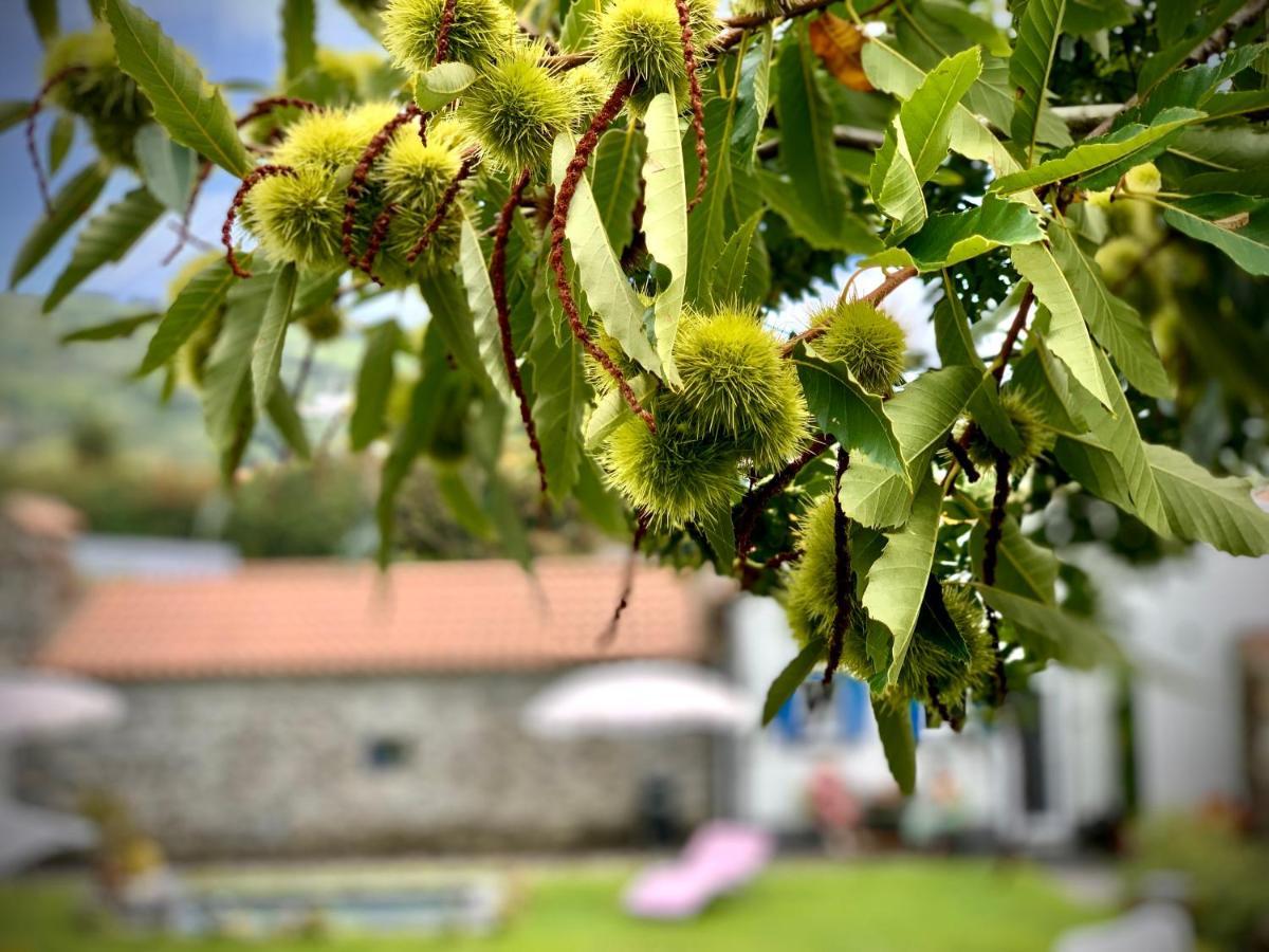 Casa Do Priolo - Villaverde Azores Feteiras Eksteriør bilde