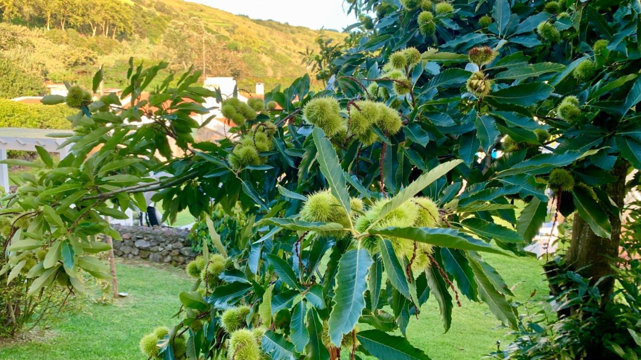 Casa Do Priolo - Villaverde Azores Feteiras Eksteriør bilde